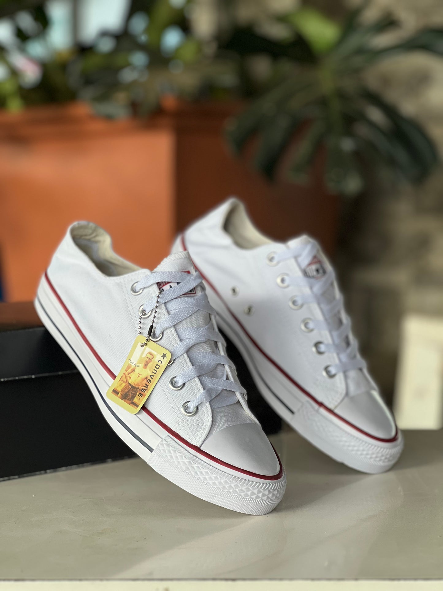 Converse All star low cut Sneakers - White