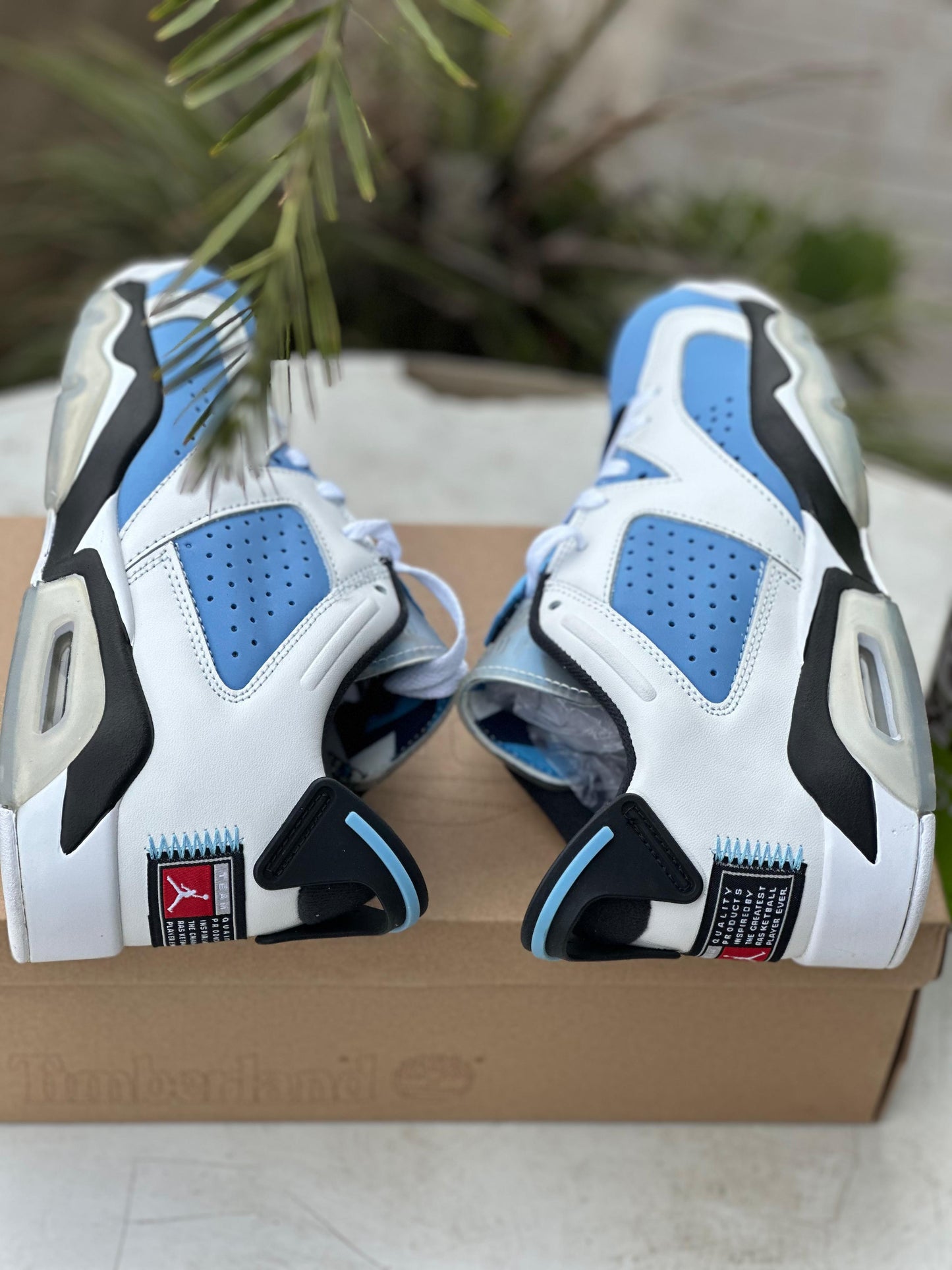 Air Jordan 6 Retro Low “University Blue”
