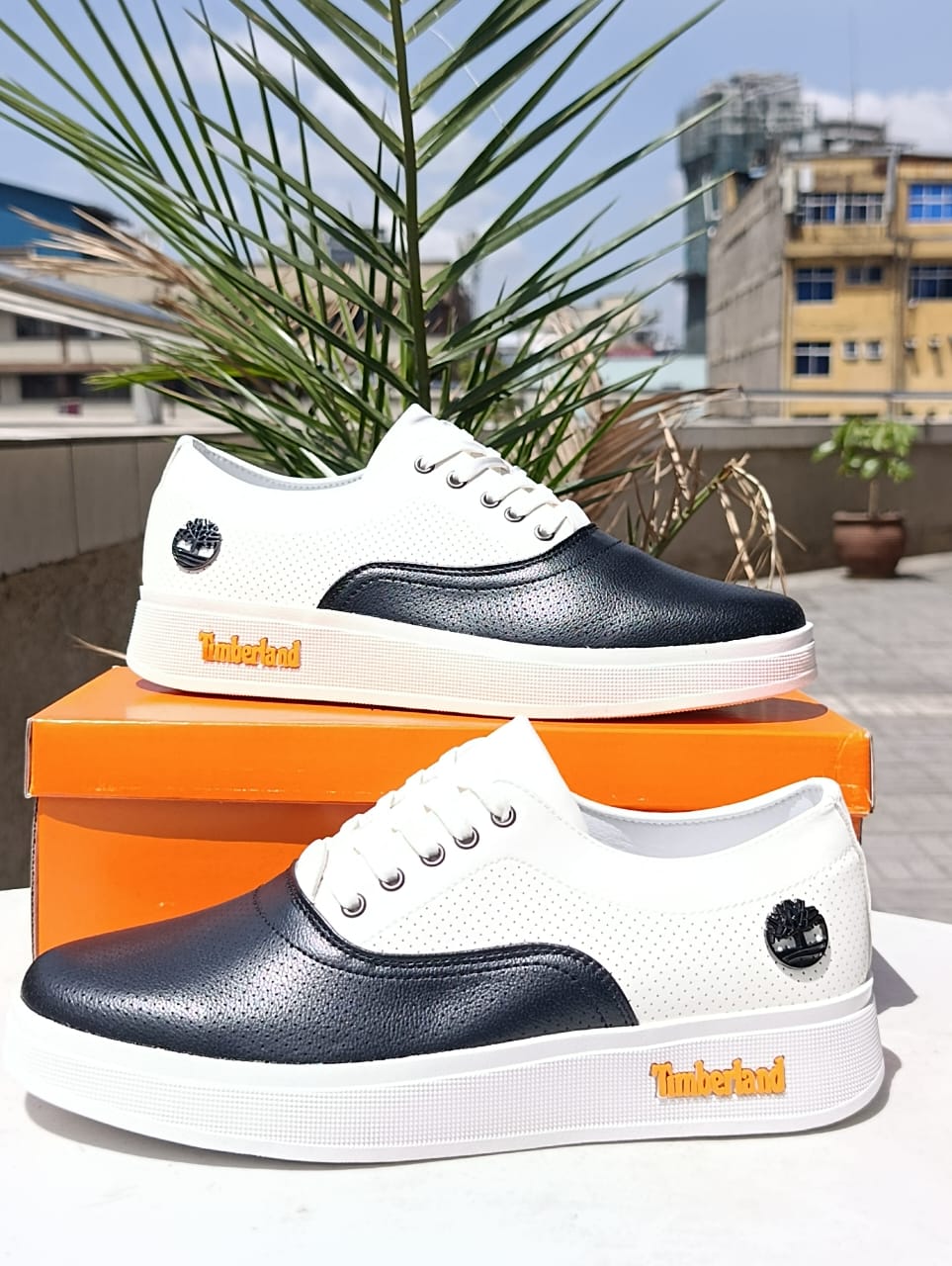 Timberland White and Black Casual Low-Cut Sneaker